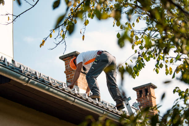 Best Shingle Roofing Installation  in Mcleansboro, IL