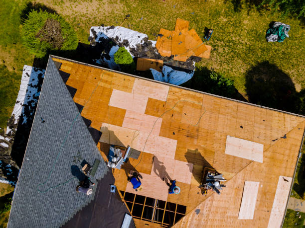 Best Roof Restoration Services  in Mcleansboro, IL