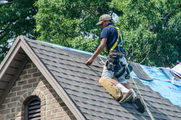 Best Roof Maintenance Services  in Mcleansboro, IL